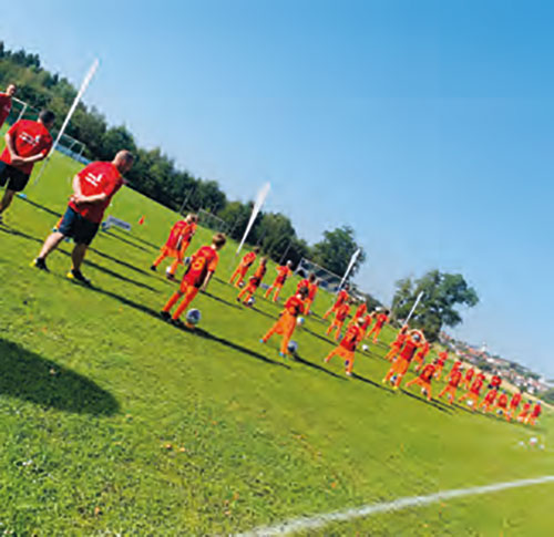 Campo ballissimo in Emmingen